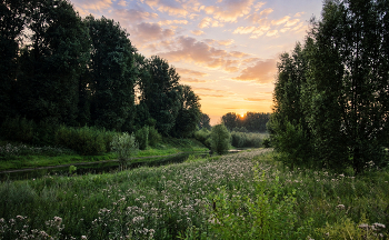 Morning in the Meadow / ***