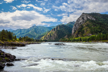 Altai Mountains / ***