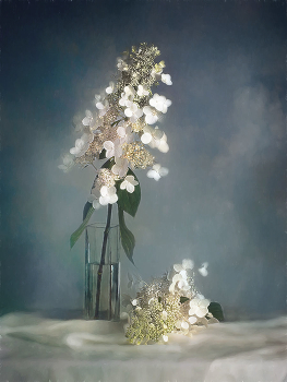 By the fall / ***