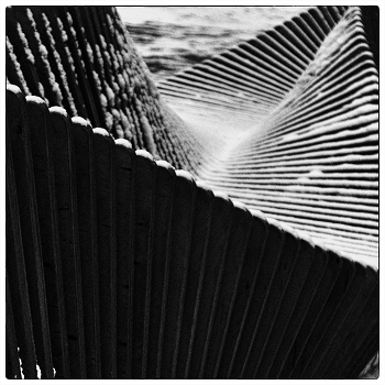 &nbsp; / ***