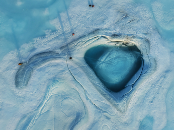 &nbsp; / ***