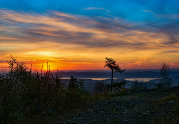 Sunrise in the forest / ***