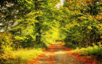 autumn soon / ***