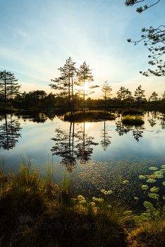 Evening Calm / ***