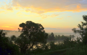 Summer morning. / ***