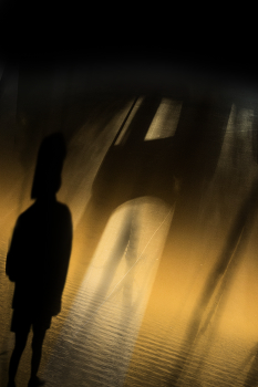 Premonition / ***