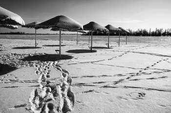 Low Season / ***
