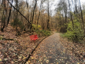 Autumn mood. / ***