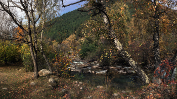 Autumn / ***