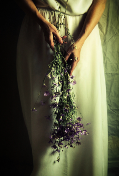 Violence of Summer / ***
