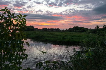 Evening / ***