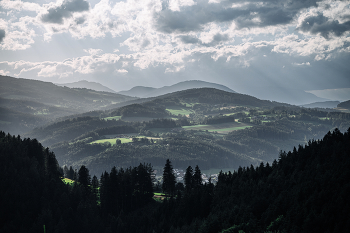 &nbsp; / Austria.