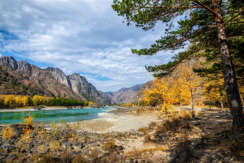 Altai Mountains / ***