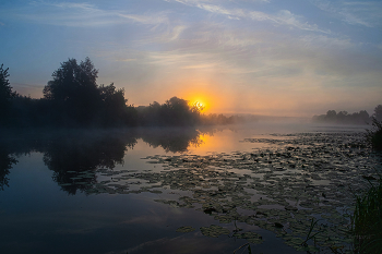 Summer morning. / ***