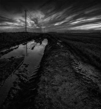 Track / ***