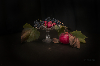 Still Life with Apples / ***