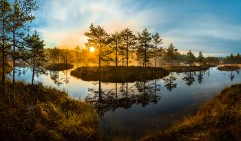 The October dawn / ***