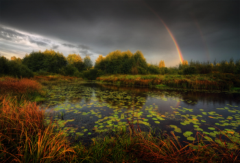 Backwater .. / ***