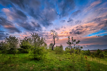 At sunset / ***