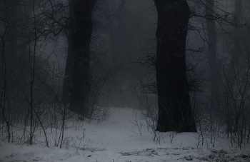 Misty / ***