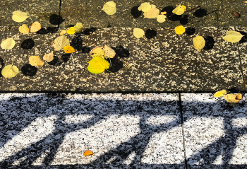 Autumn has come ... / ***