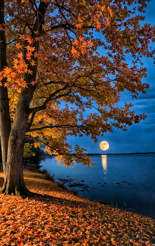 Autumn breath / ***