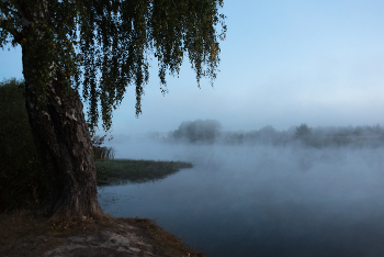 Fog / ***