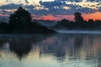 &nbsp; / ***