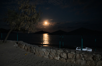 Night beach / ***