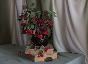 Kalina red ... / ***