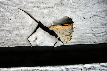 Life around / ***