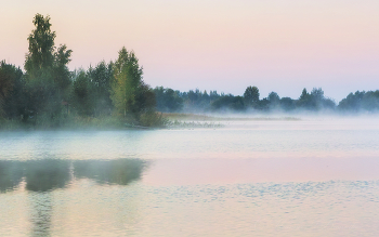 Foggy morning / ***