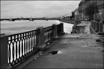 &nbsp; / ***