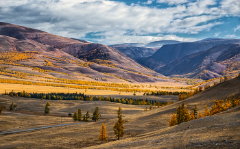 Kurai steppe / ***