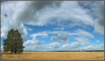 ***The clouds / ***