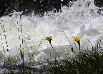 At the waterfall / ***