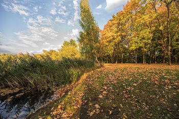 Autumn / ***