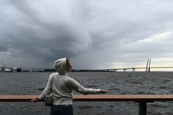 A storm warning / ***