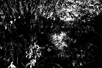 Life around / ***