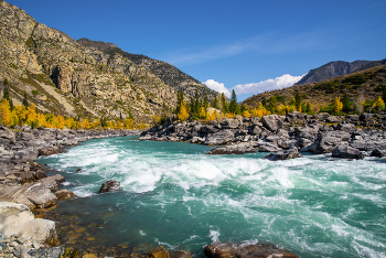 Altai Mountains / ***