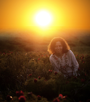 Against the background of the sunset / ***