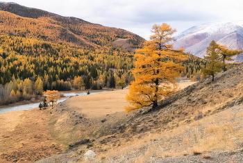 Autumn Gatchina / ***