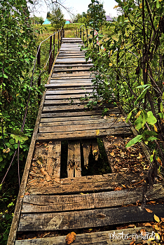 Bridge / ***