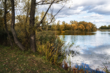 Autumn / ***