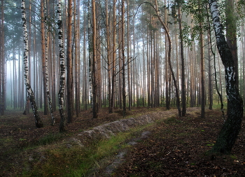 &nbsp; / ***