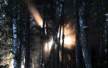 Sunrise / ***