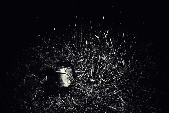 Life around / ***