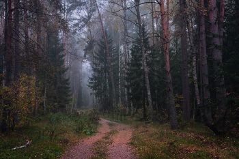 Fog dissipates / ***
