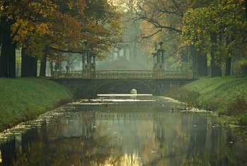 Morning in October / ***