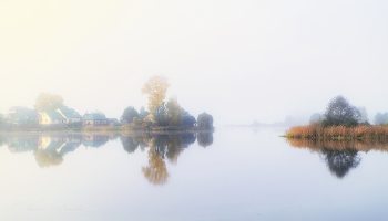 Foggy morning / ***